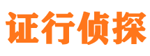 镇沅市调查公司